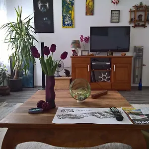 Sunflower , Budapest Ungheria